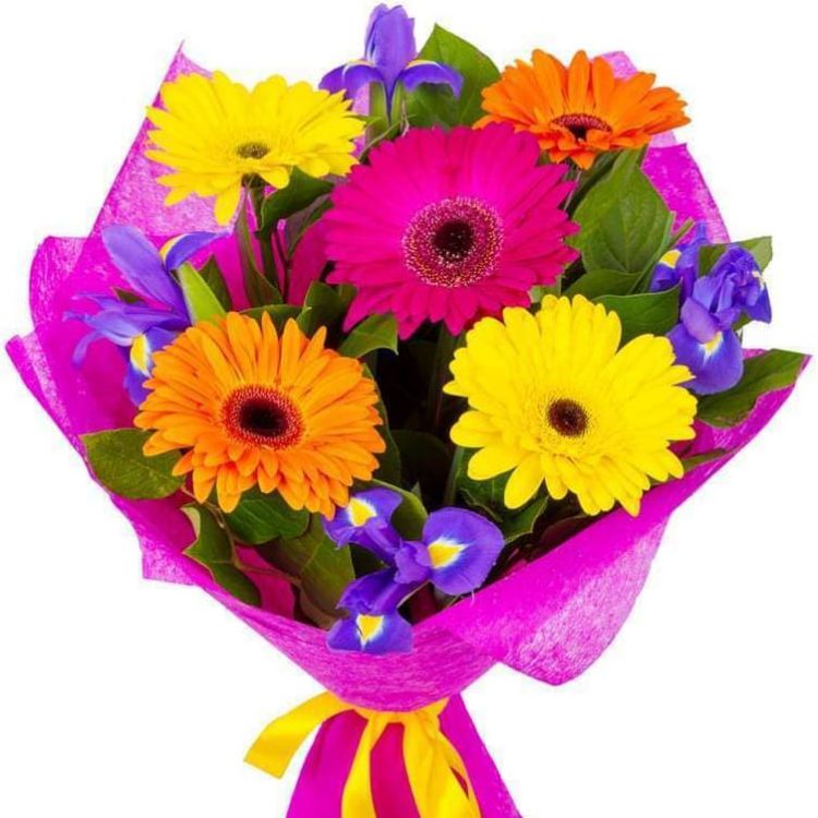 Моя нежность от 3 580 руб.